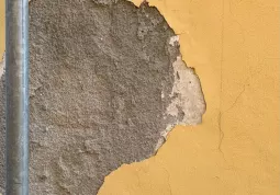 La scrostatura da cui è nata la creazione